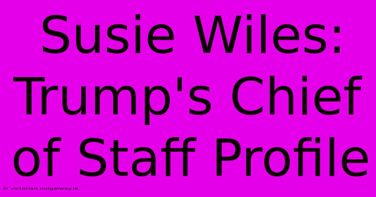 Susie Wiles: Trump's Chief Of Staff Profile