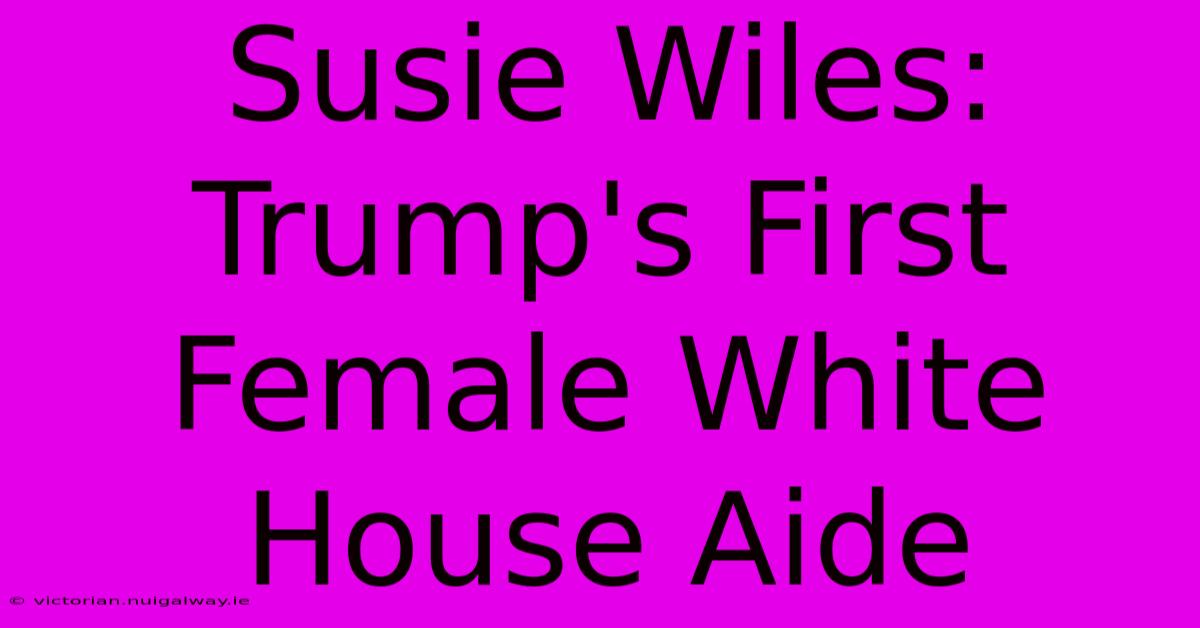 Susie Wiles: Trump's First Female White House Aide