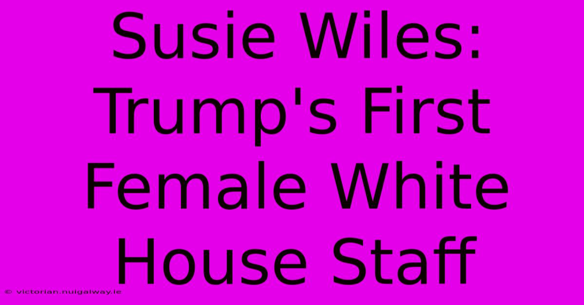 Susie Wiles: Trump's First Female White House Staff 