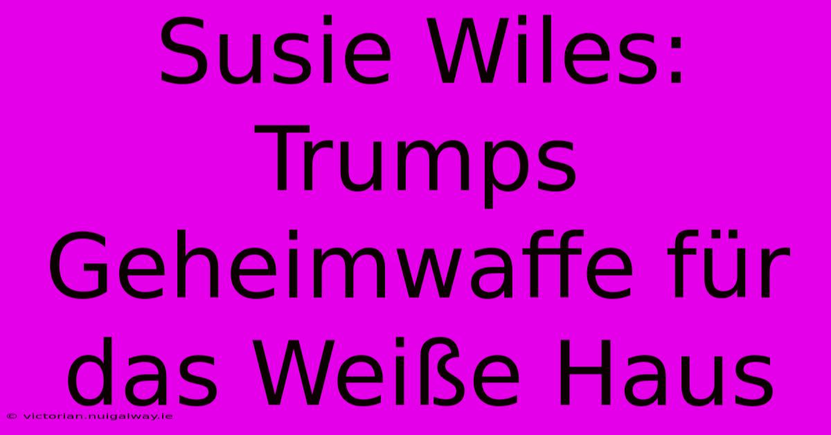 Susie Wiles: Trumps Geheimwaffe Für Das Weiße Haus