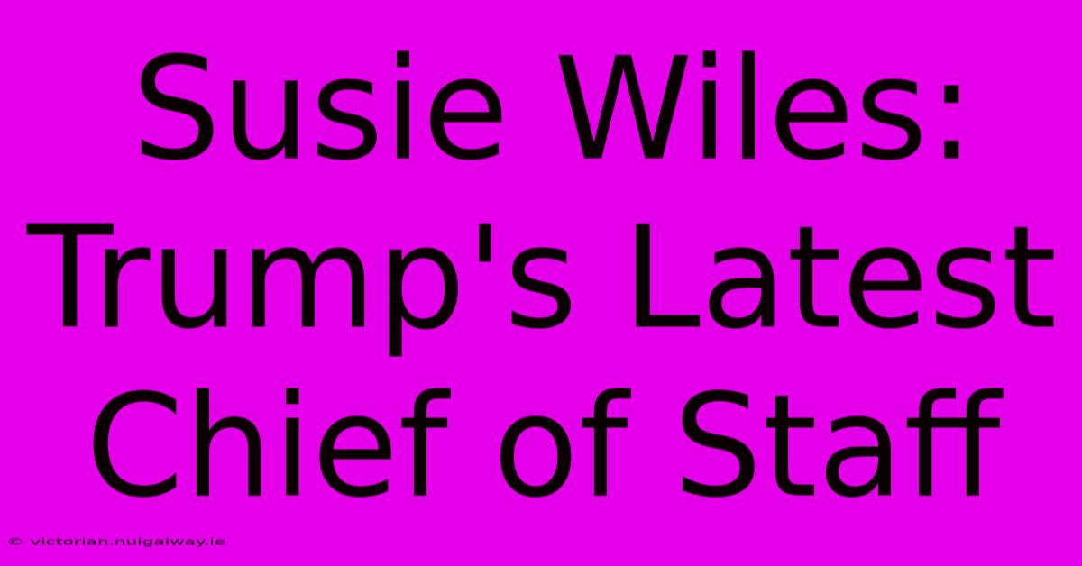 Susie Wiles:  Trump's Latest Chief Of Staff 