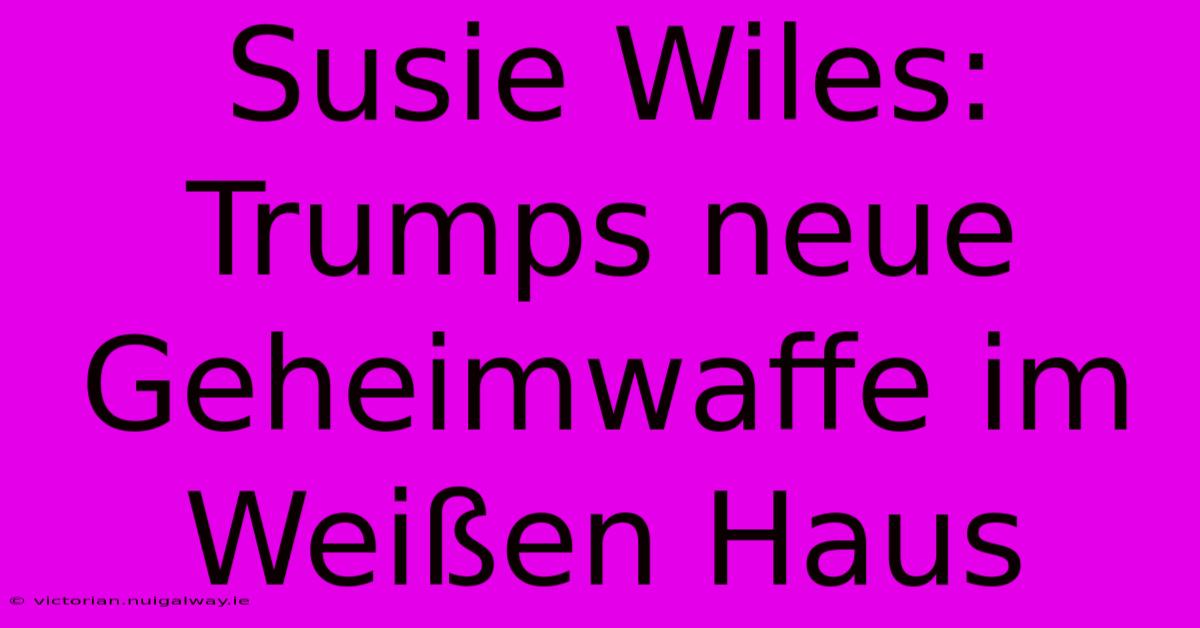 Susie Wiles: Trumps Neue Geheimwaffe Im Weißen Haus