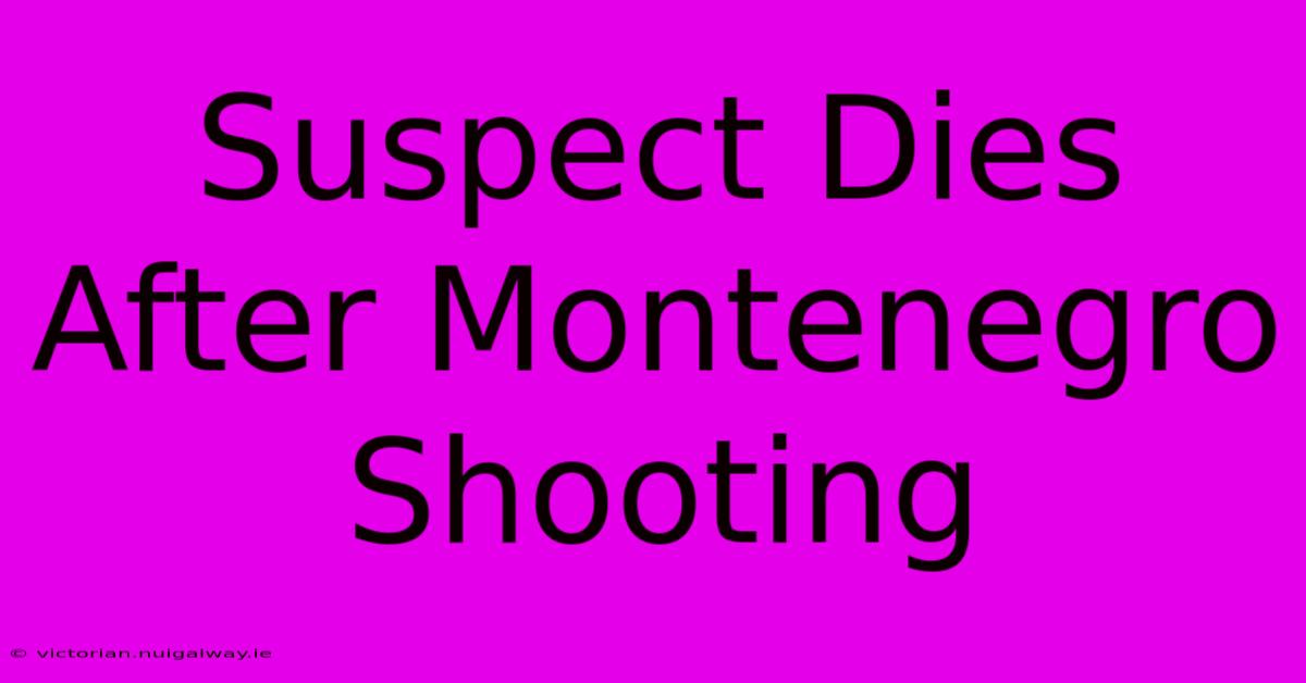 Suspect Dies After Montenegro Shooting