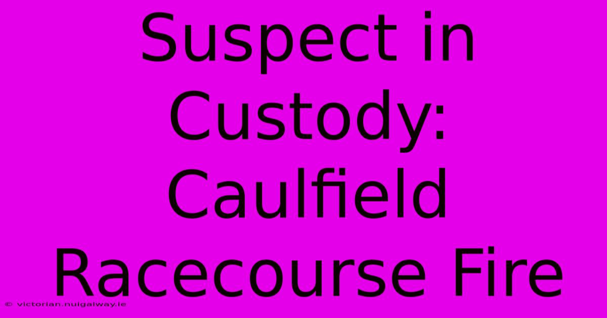 Suspect In Custody: Caulfield Racecourse Fire