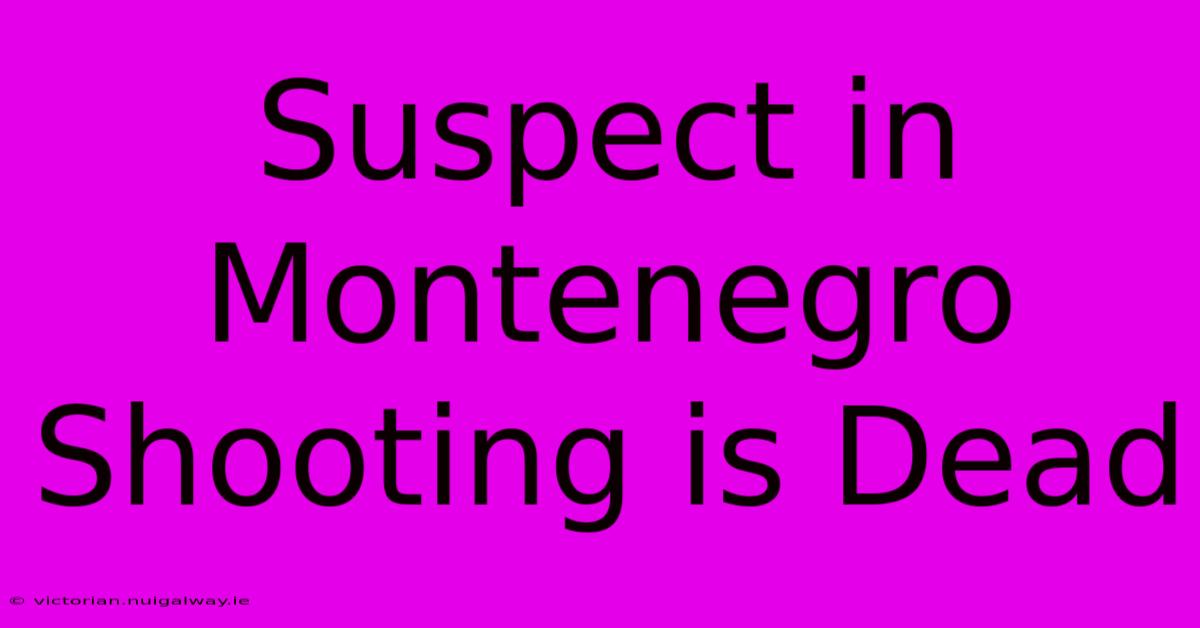 Suspect In Montenegro Shooting Is Dead