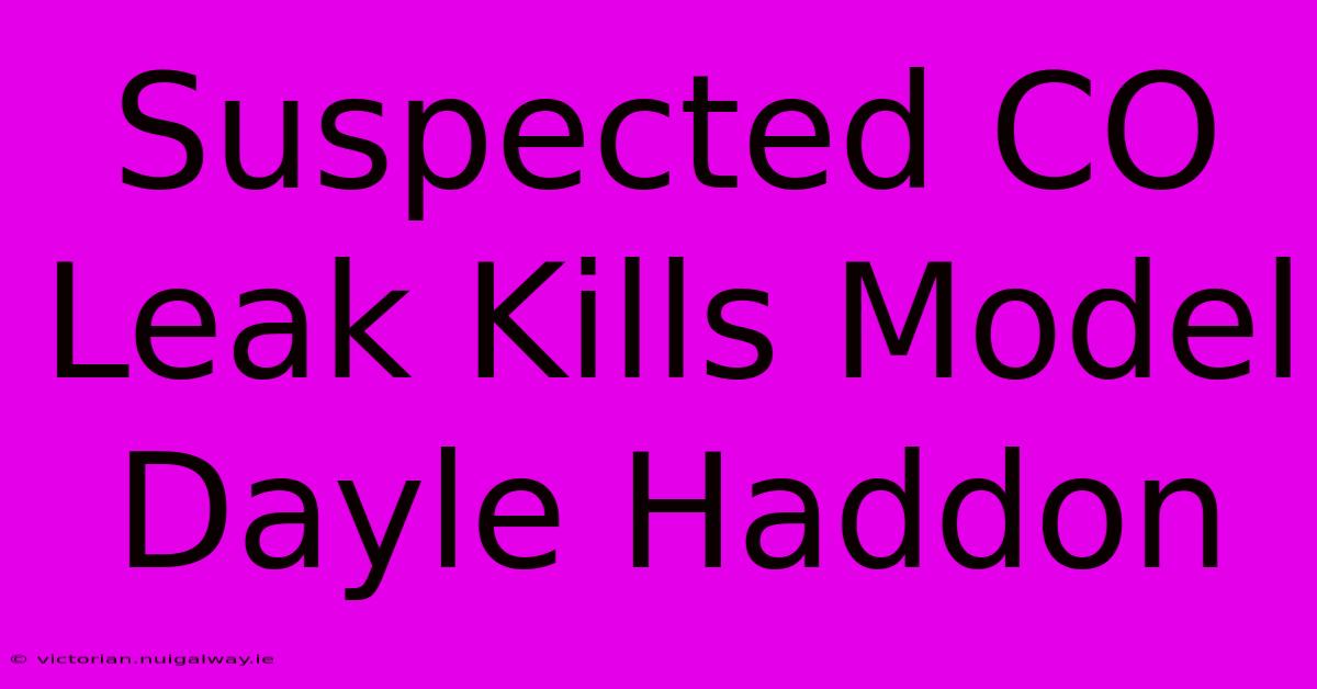 Suspected CO Leak Kills Model Dayle Haddon