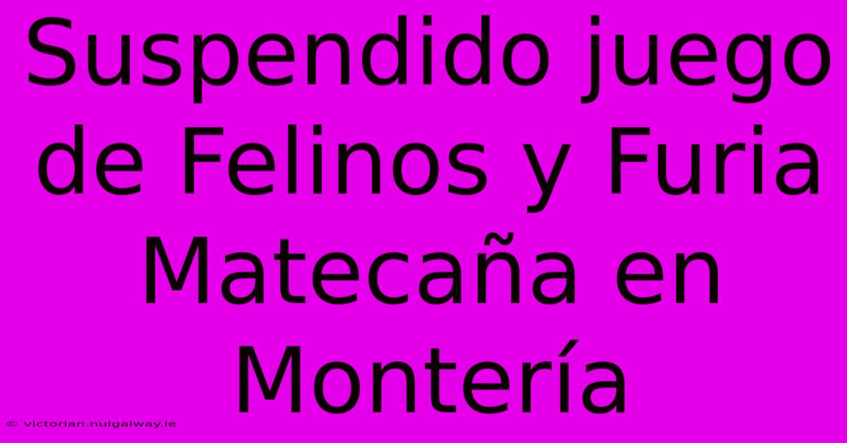 Suspendido Juego De Felinos Y Furia Matecaña En Montería