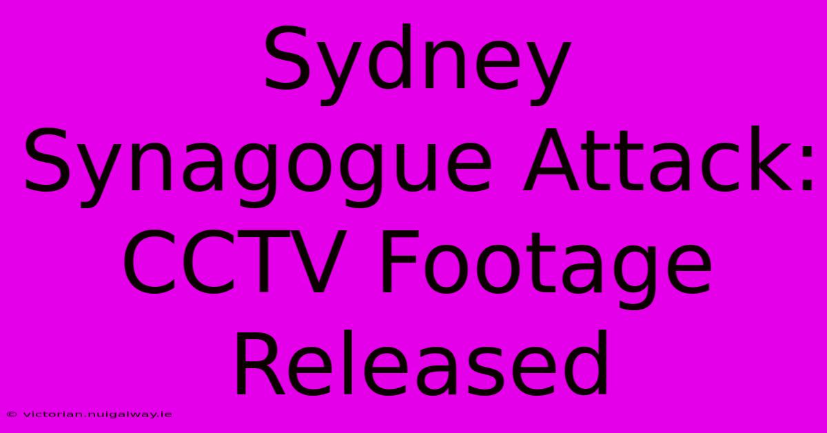 Sydney Synagogue Attack: CCTV Footage Released