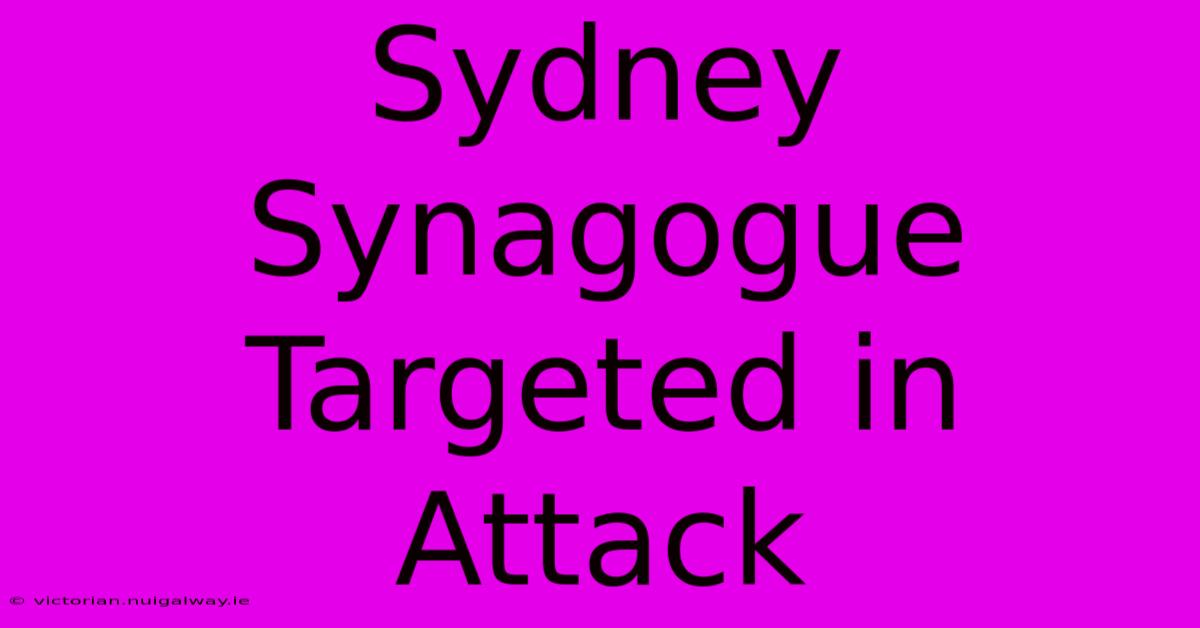 Sydney Synagogue Targeted In Attack