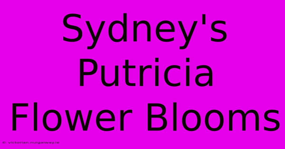 Sydney's Putricia Flower Blooms