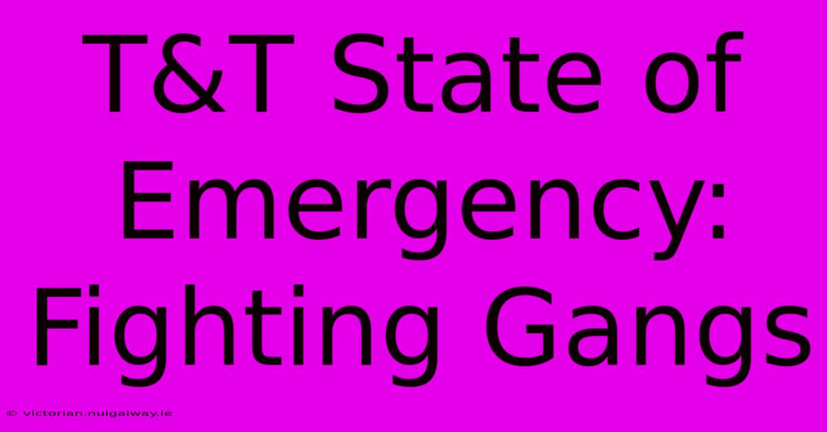 T&T State Of Emergency: Fighting Gangs