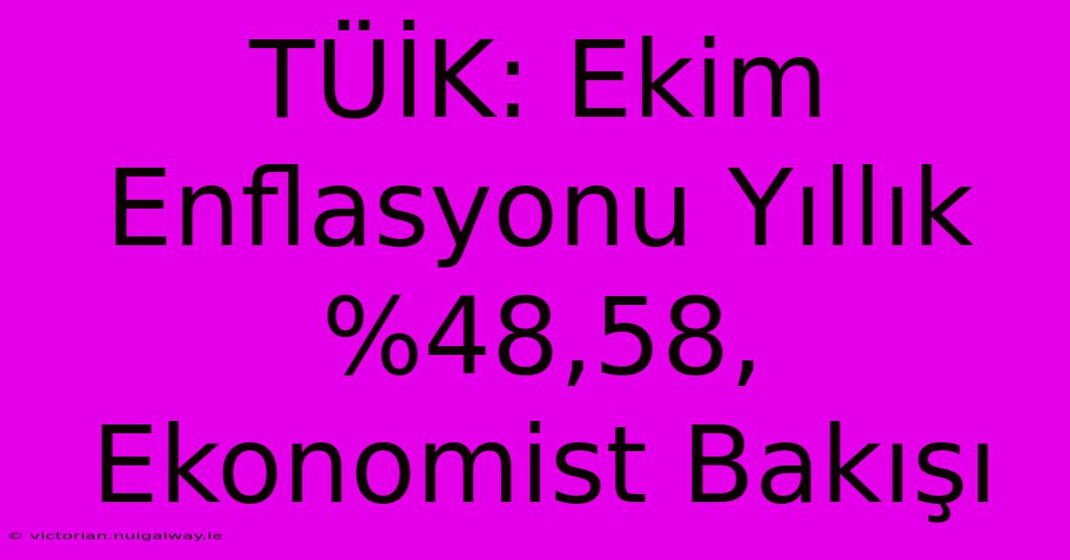 TÜİK: Ekim Enflasyonu Yıllık %48,58, Ekonomist Bakışı