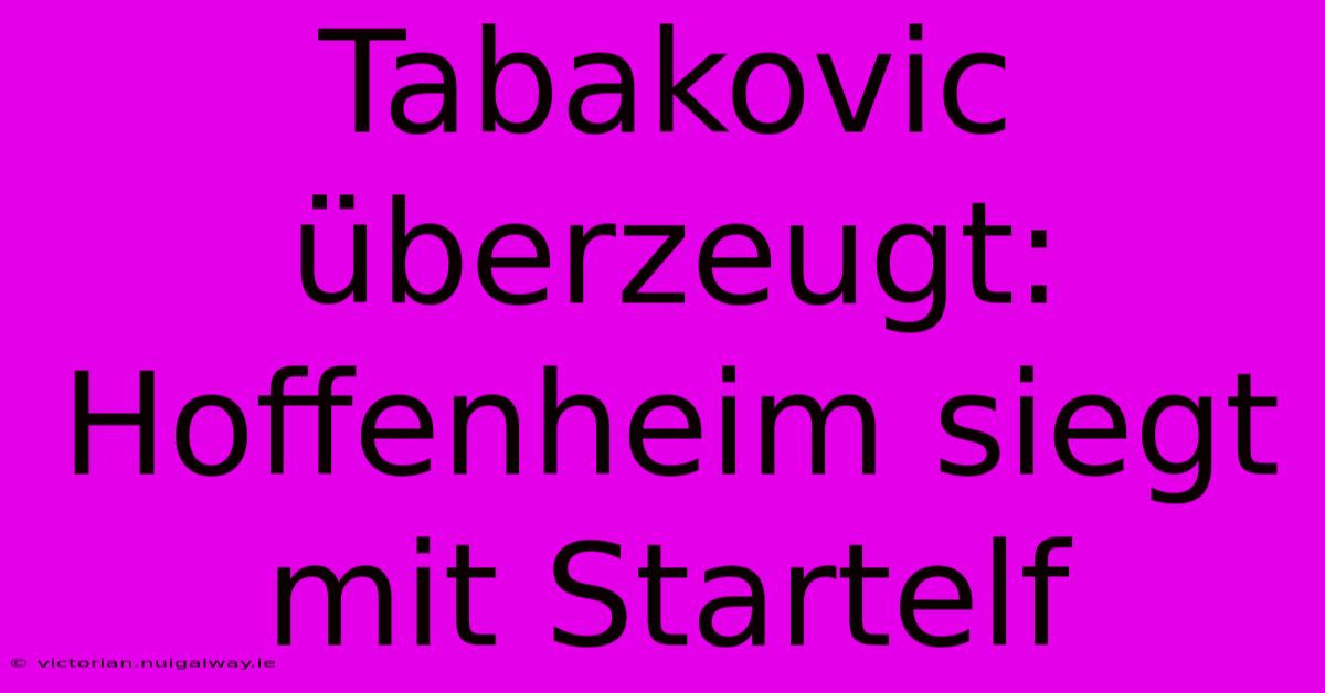 Tabakovic Überzeugt: Hoffenheim Siegt Mit Startelf