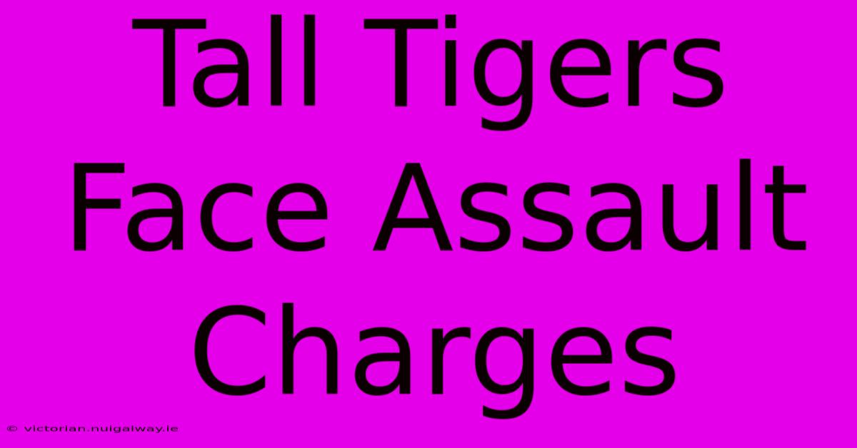 Tall Tigers Face Assault Charges