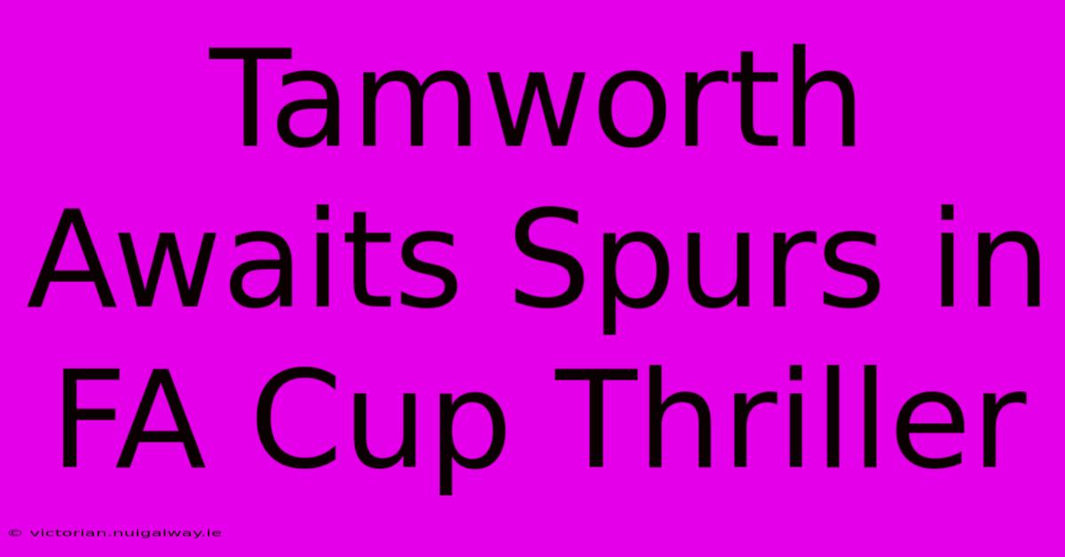 Tamworth Awaits Spurs In FA Cup Thriller