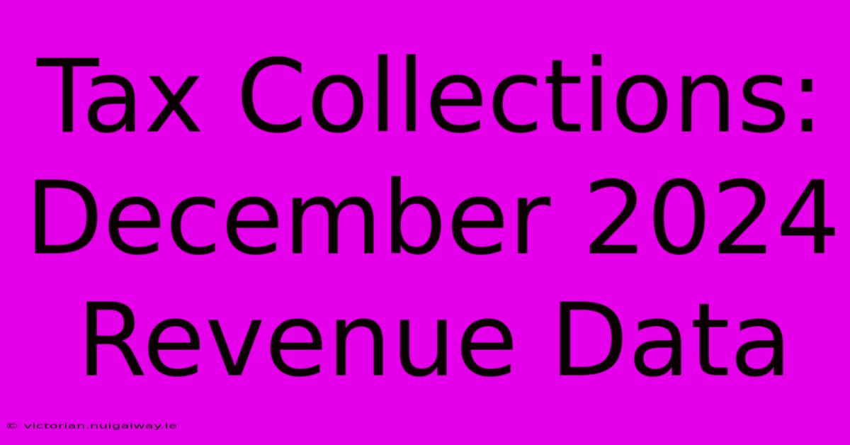 Tax Collections: December 2024 Revenue Data