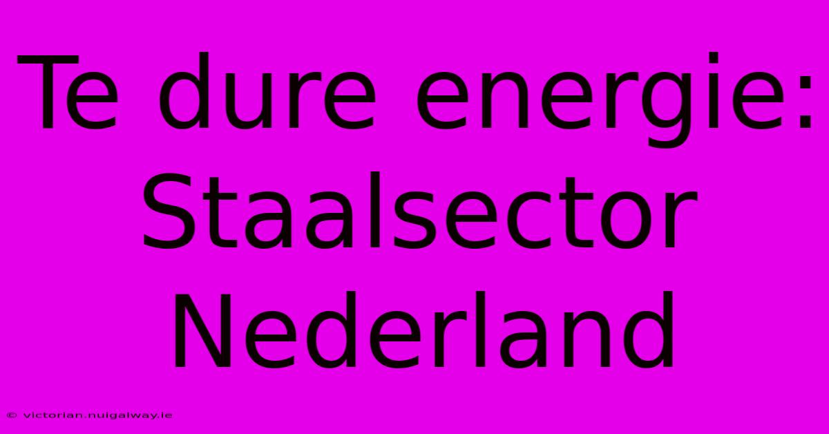 Te Dure Energie: Staalsector Nederland