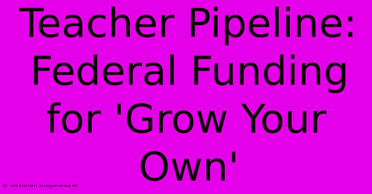 Teacher Pipeline: Federal Funding For 'Grow Your Own'