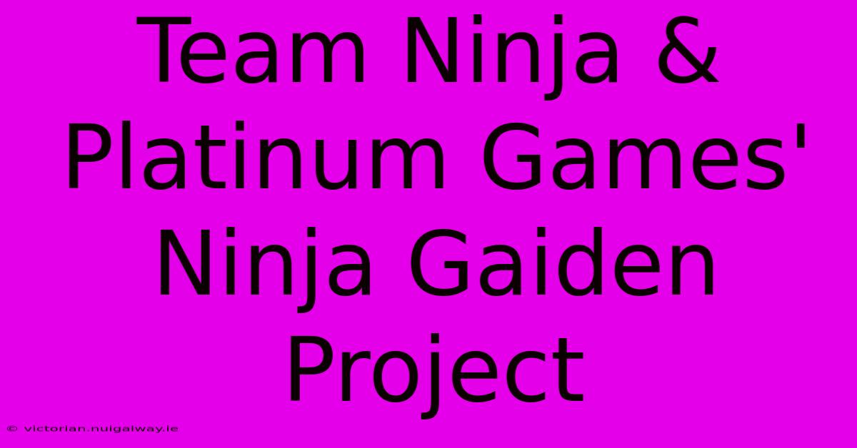 Team Ninja & Platinum Games' Ninja Gaiden Project