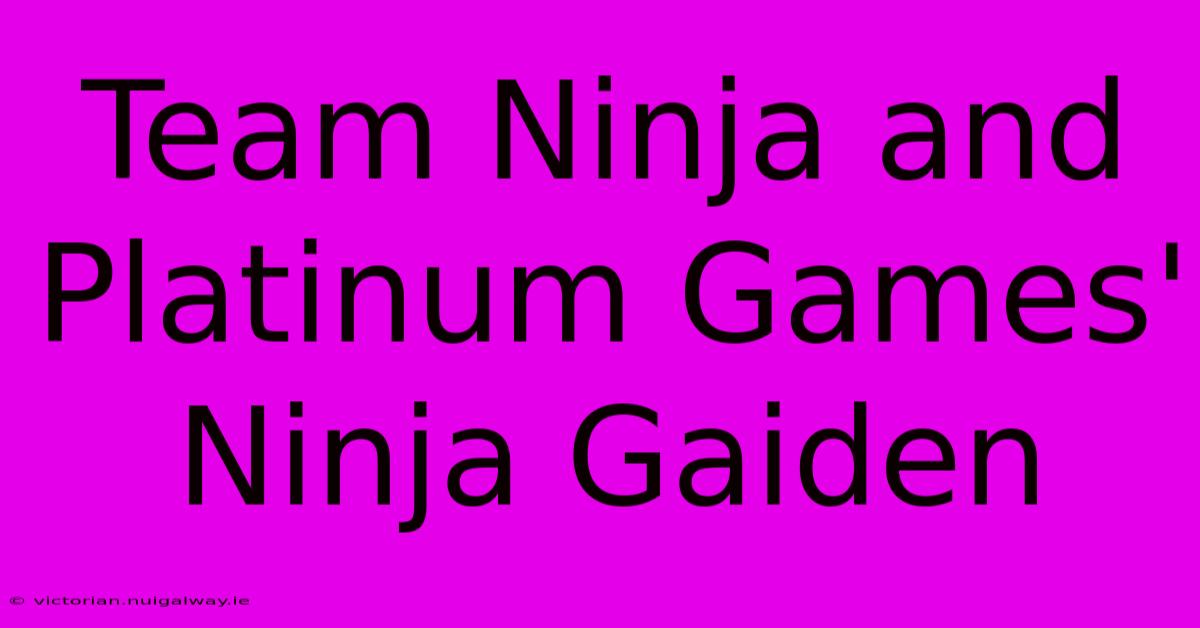 Team Ninja And Platinum Games' Ninja Gaiden