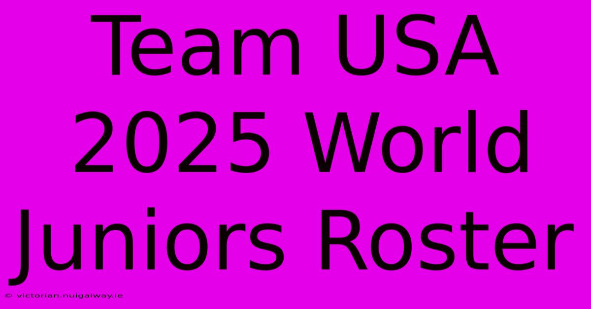 Team USA 2025 World Juniors Roster