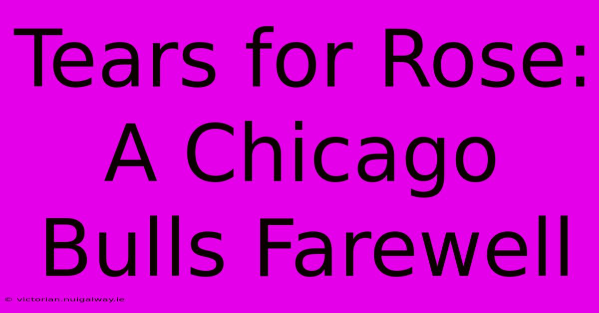 Tears For Rose: A Chicago Bulls Farewell