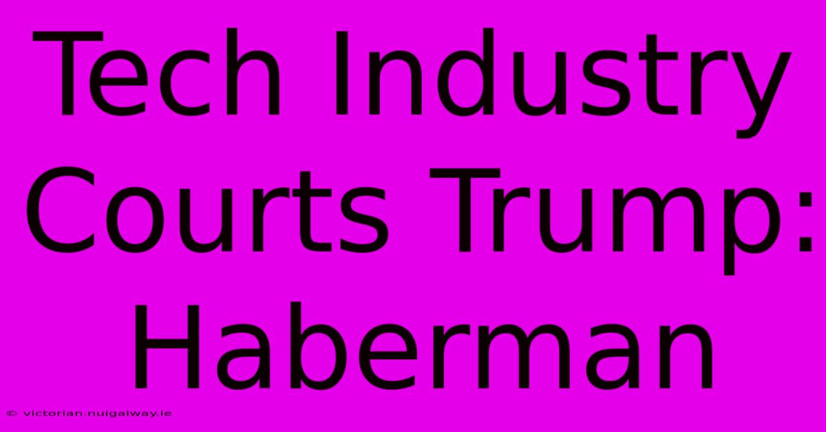 Tech Industry Courts Trump: Haberman