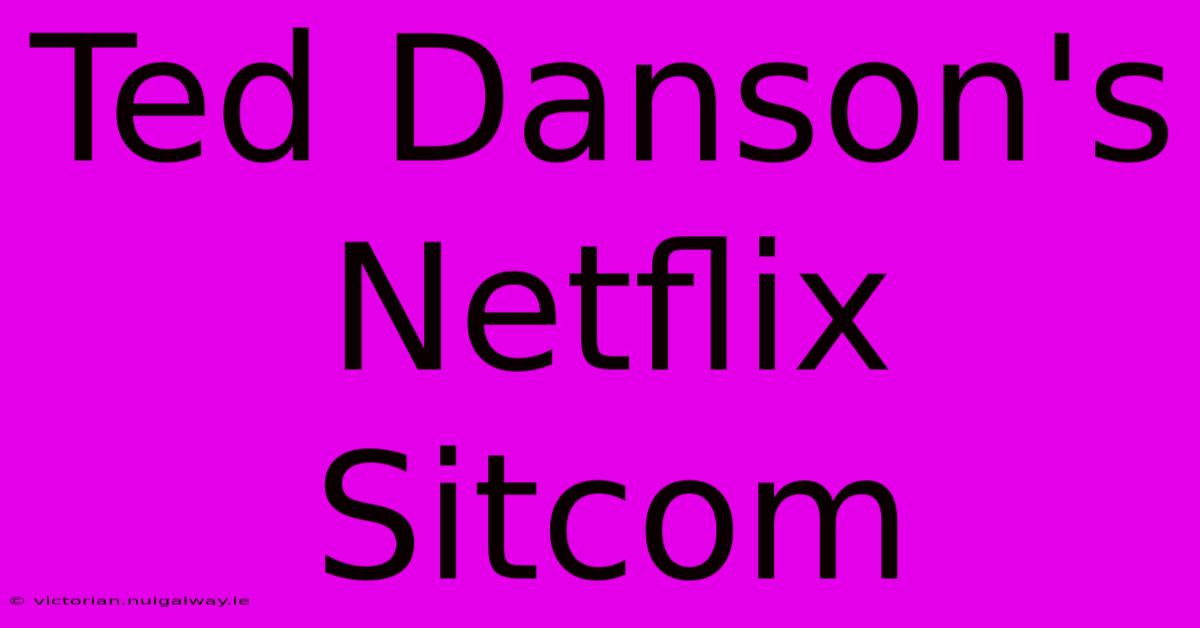 Ted Danson's Netflix Sitcom