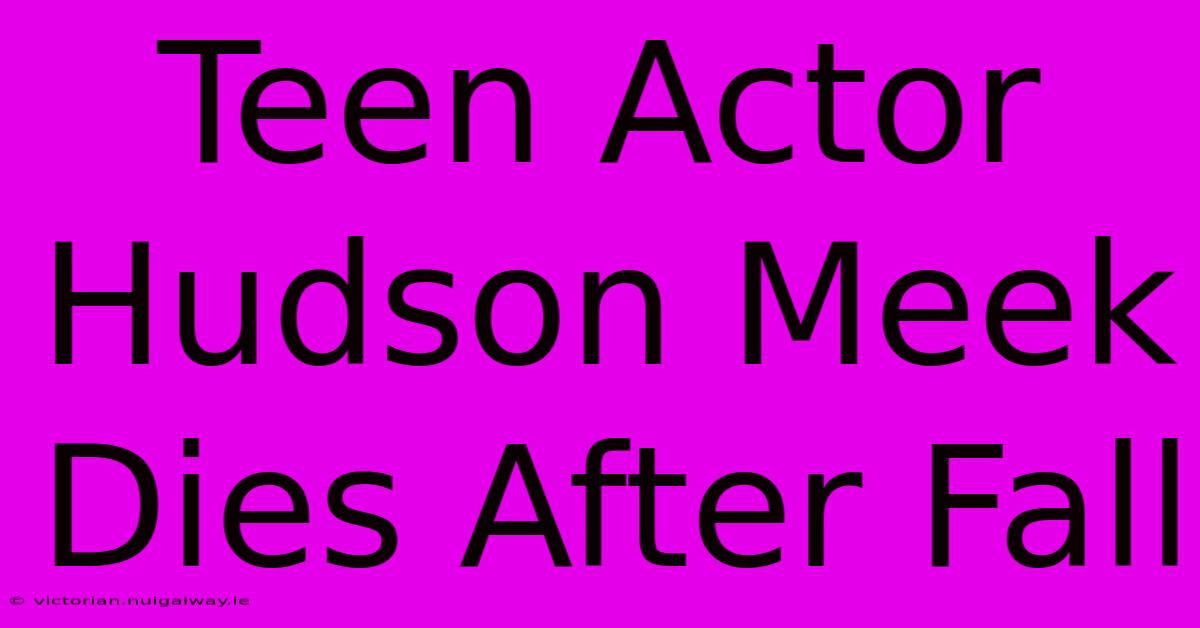 Teen Actor Hudson Meek Dies After Fall