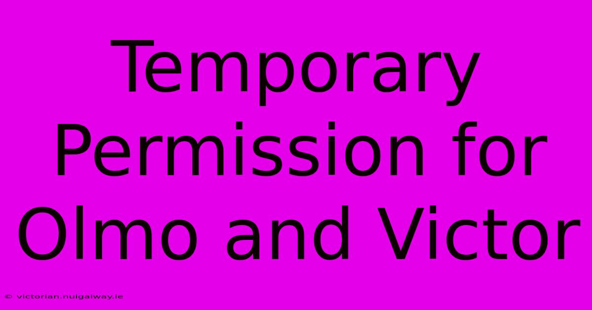 Temporary Permission For Olmo And Victor