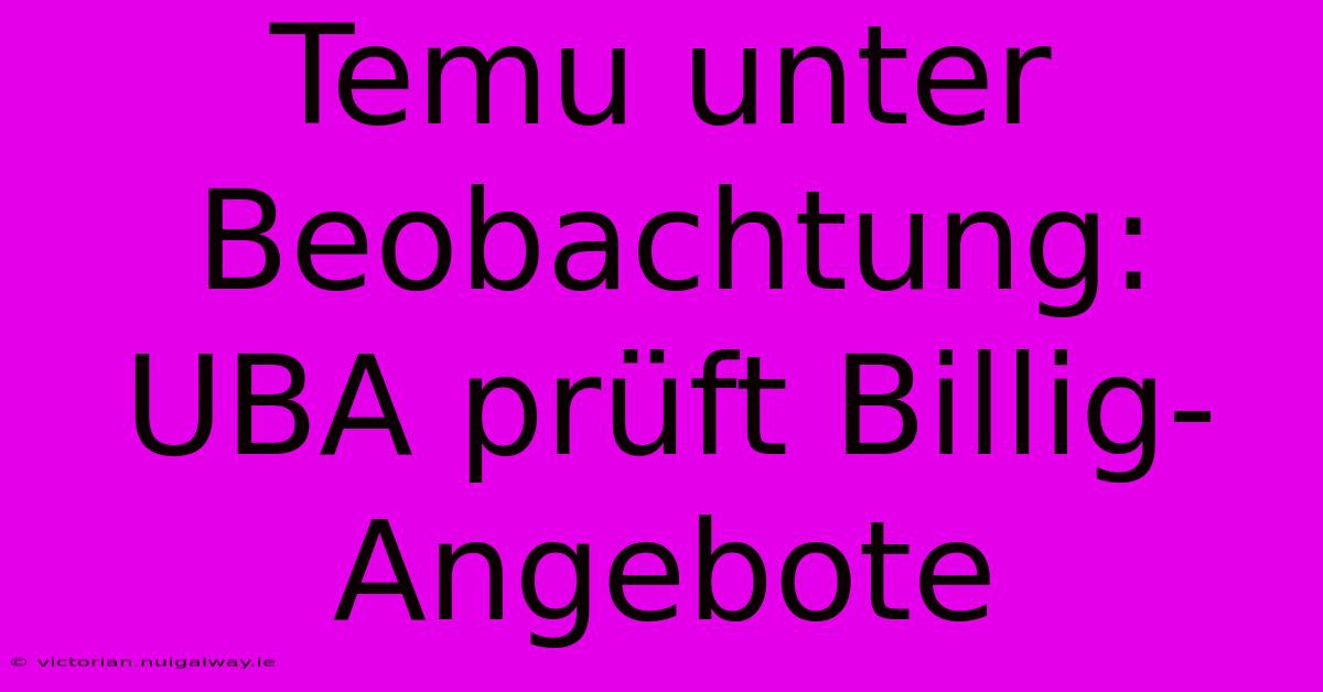 Temu Unter Beobachtung: UBA Prüft Billig-Angebote