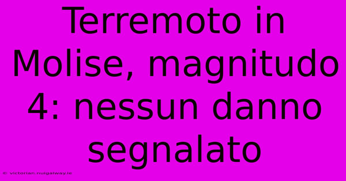 Terremoto In Molise, Magnitudo 4: Nessun Danno Segnalato