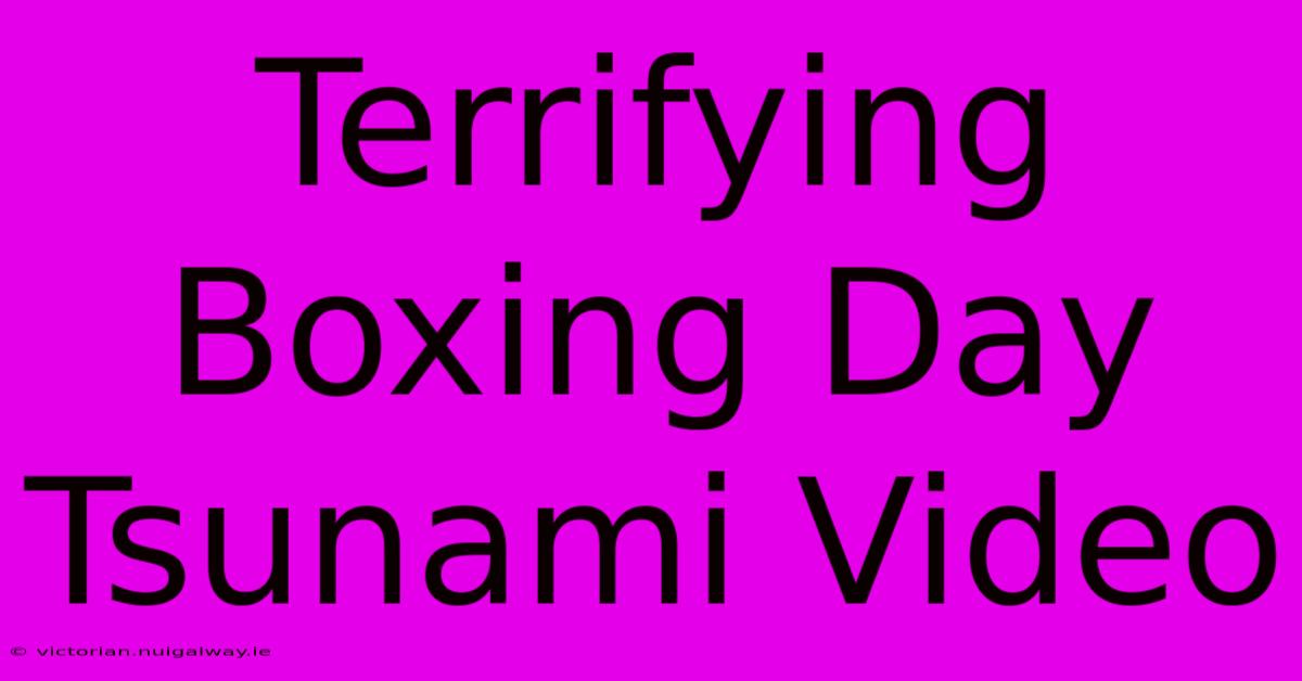 Terrifying Boxing Day Tsunami Video