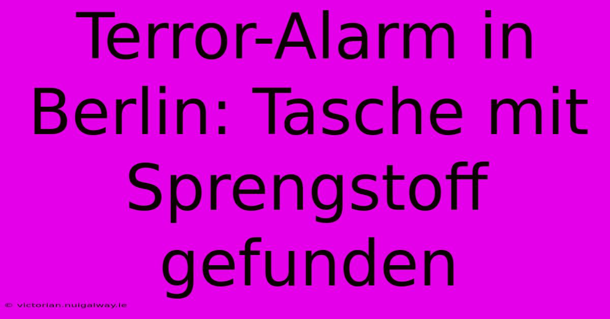 Terror-Alarm In Berlin: Tasche Mit Sprengstoff Gefunden 