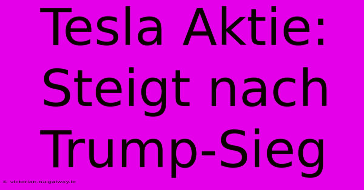 Tesla Aktie: Steigt Nach Trump-Sieg