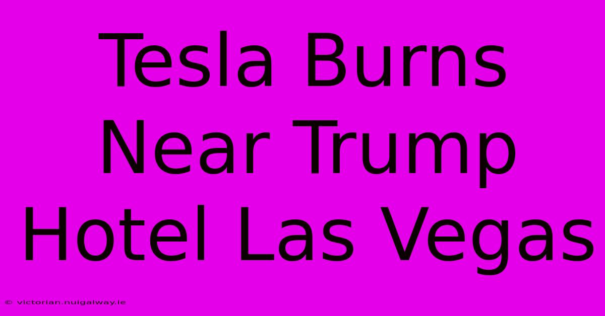 Tesla Burns Near Trump Hotel Las Vegas