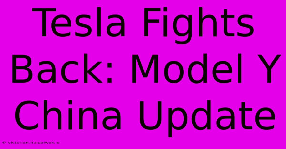 Tesla Fights Back: Model Y China Update