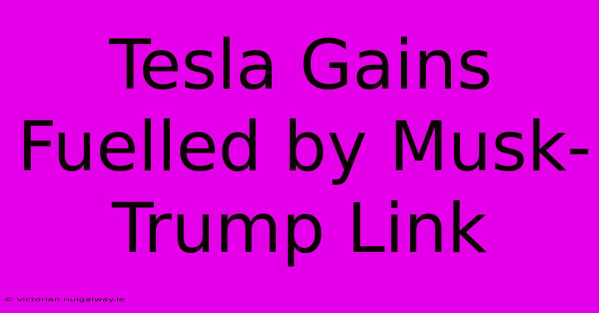 Tesla Gains Fuelled By Musk-Trump Link