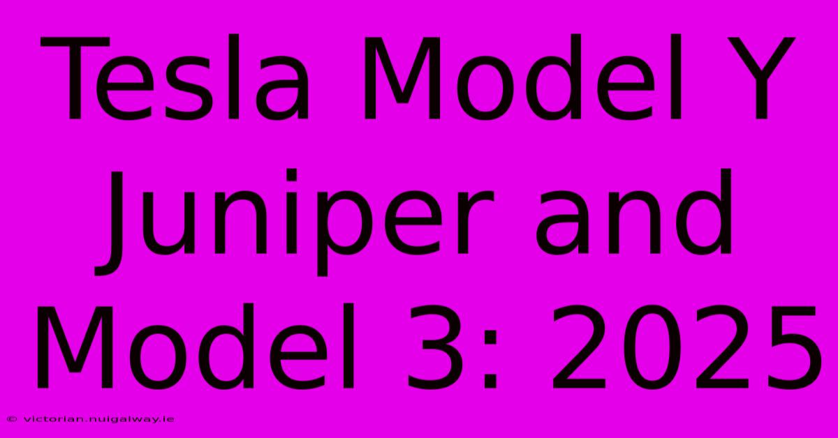 Tesla Model Y Juniper And Model 3: 2025