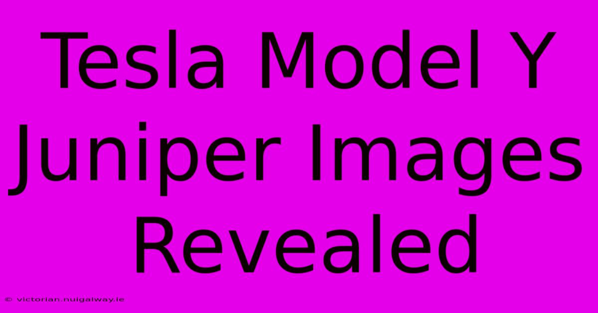 Tesla Model Y Juniper Images Revealed