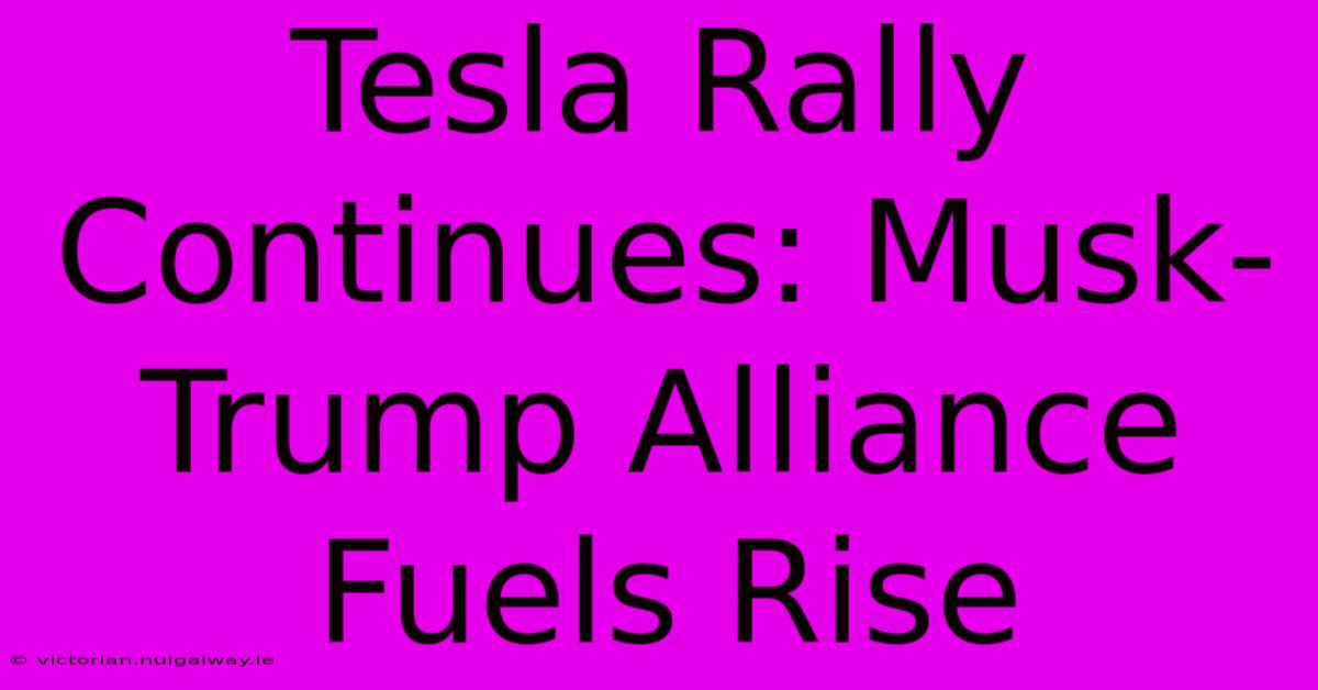 Tesla Rally Continues: Musk-Trump Alliance Fuels Rise