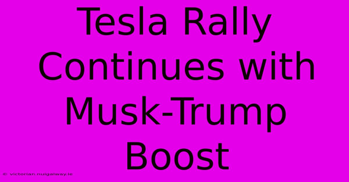 Tesla Rally Continues With Musk-Trump Boost 