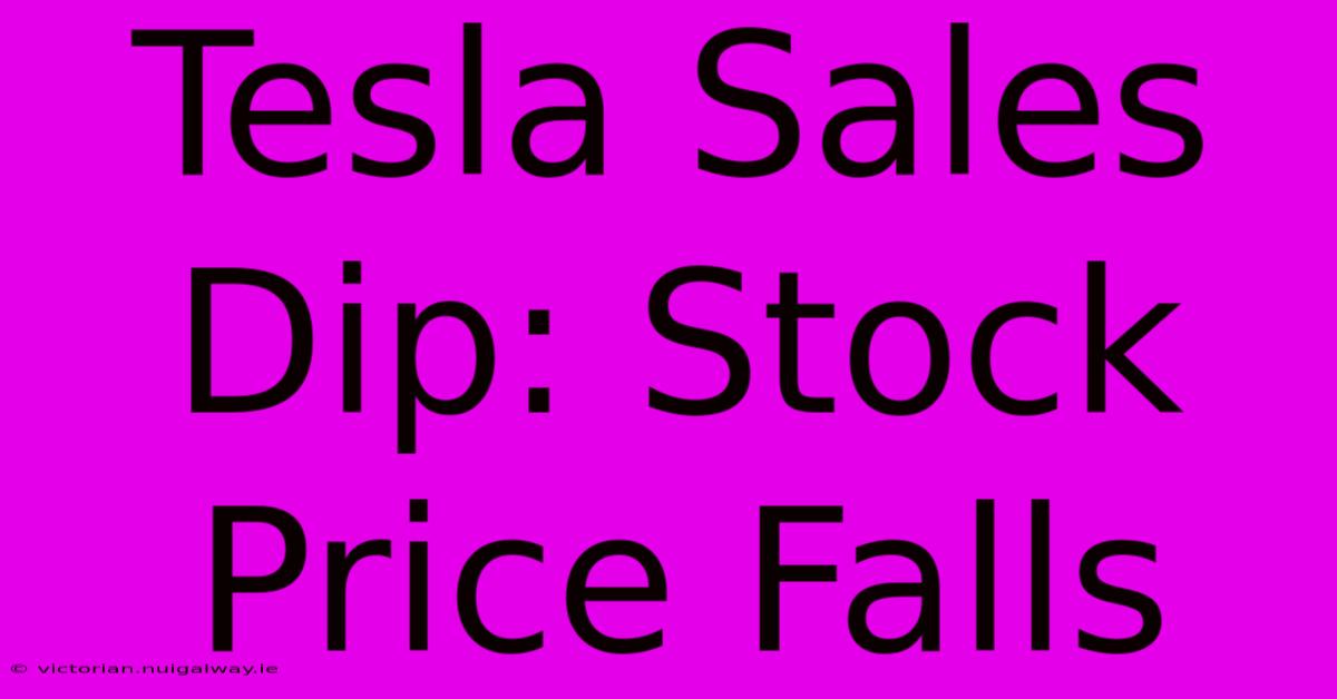 Tesla Sales Dip: Stock Price Falls