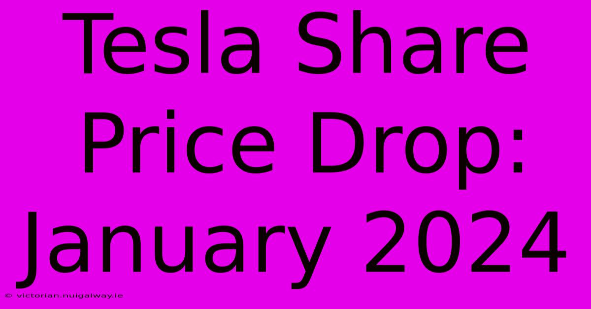 Tesla Share Price Drop: January 2024