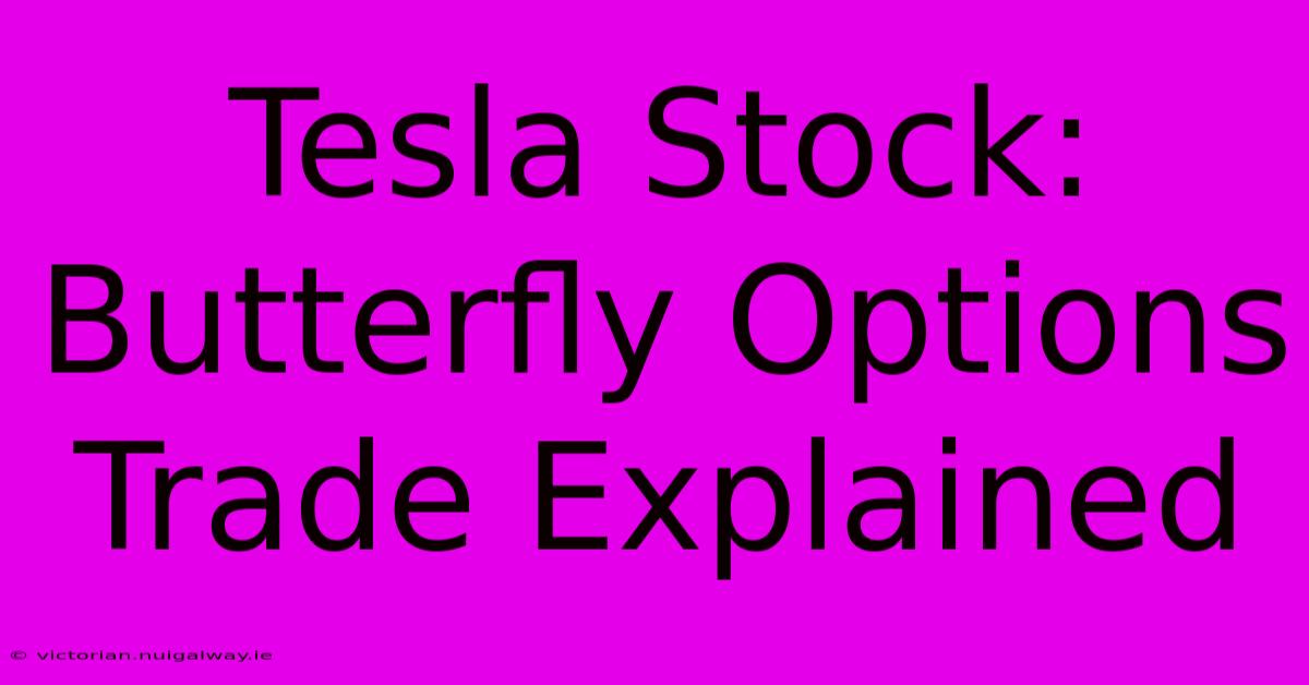 Tesla Stock: Butterfly Options Trade Explained 