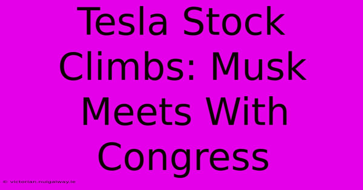 Tesla Stock Climbs: Musk Meets With Congress