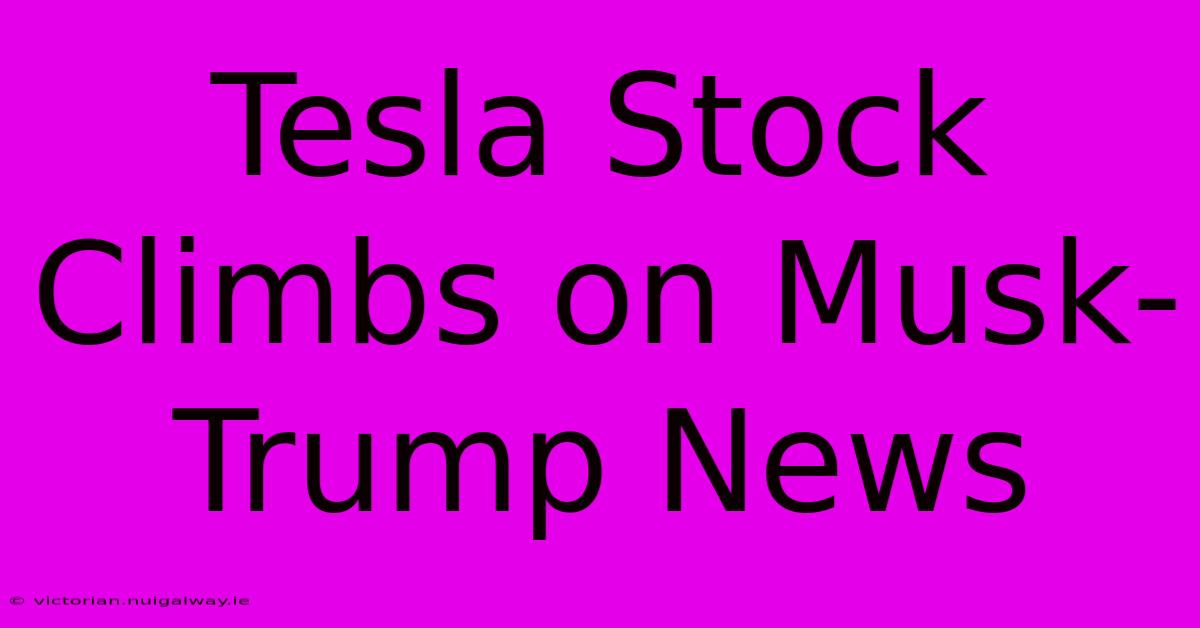 Tesla Stock Climbs On Musk-Trump News