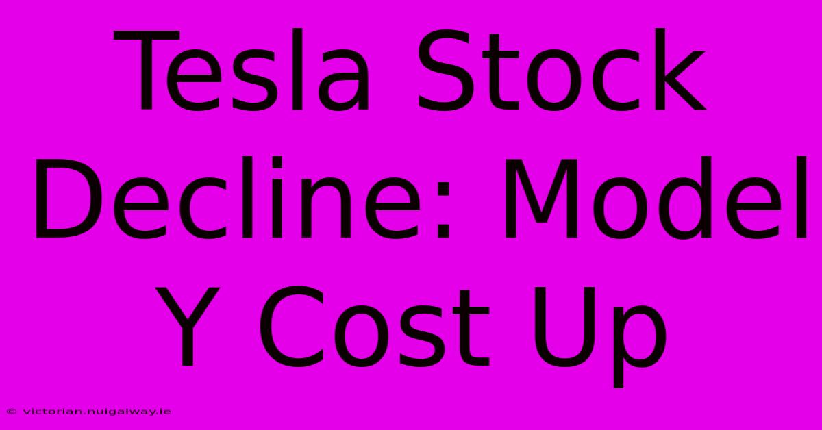 Tesla Stock Decline: Model Y Cost Up