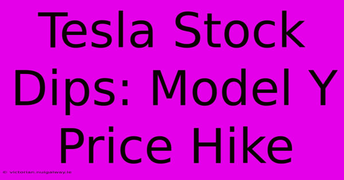 Tesla Stock Dips: Model Y Price Hike