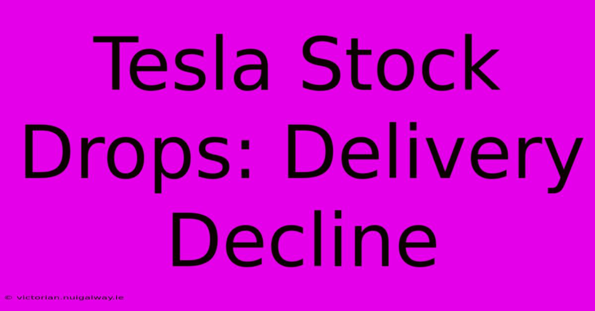 Tesla Stock Drops: Delivery Decline